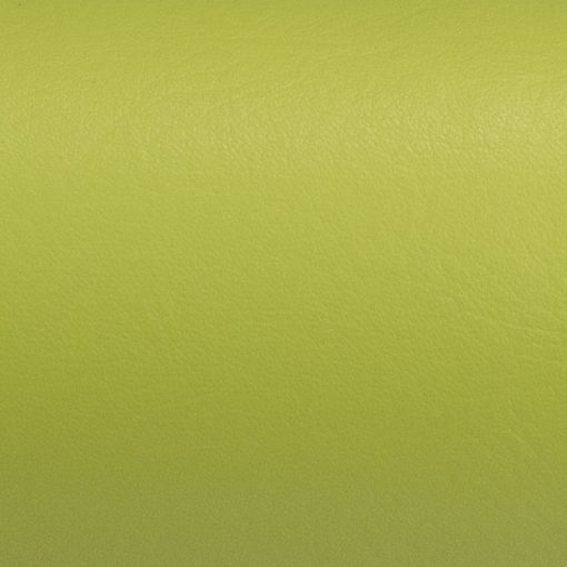 Citrus Green Just Colour